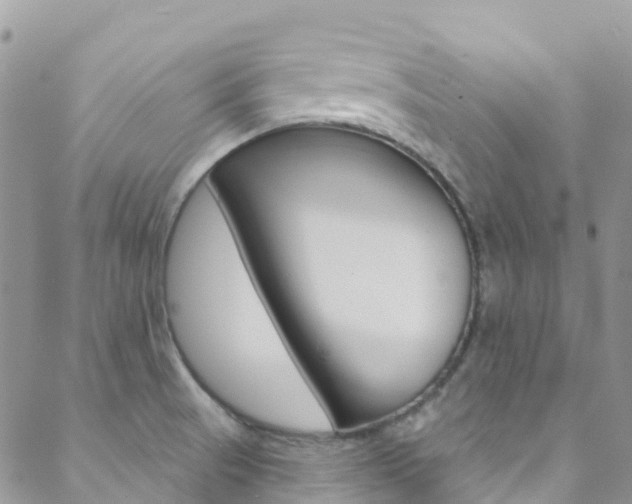 X0000088921521200706080837