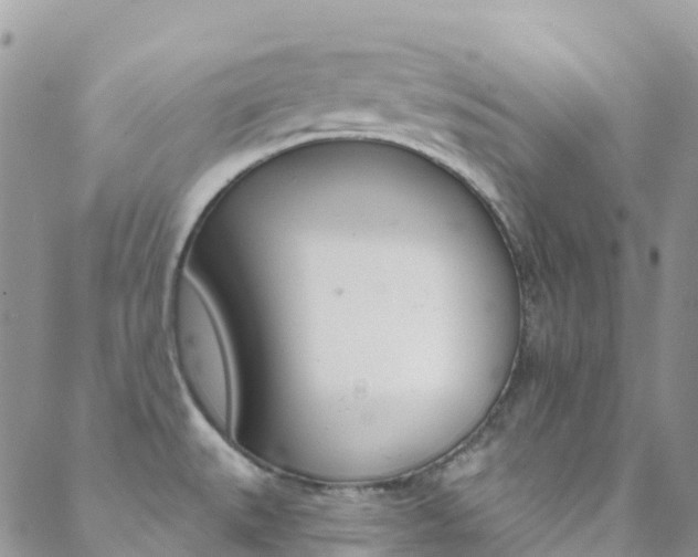 X0000088921527200706080837