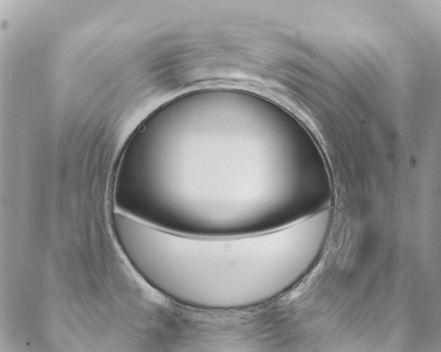 X0000088921533200706080838