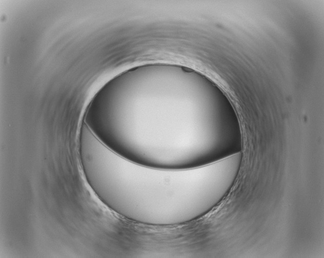X0000088921536200706080838