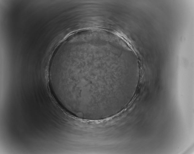 X0000088920002200706081407