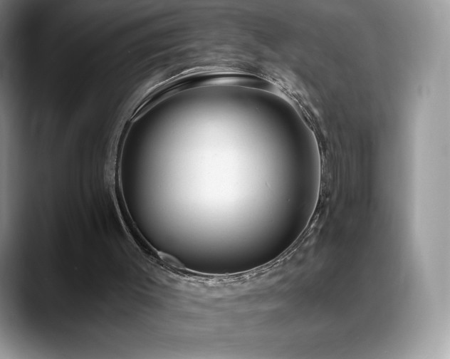 X0000088920003200706081407