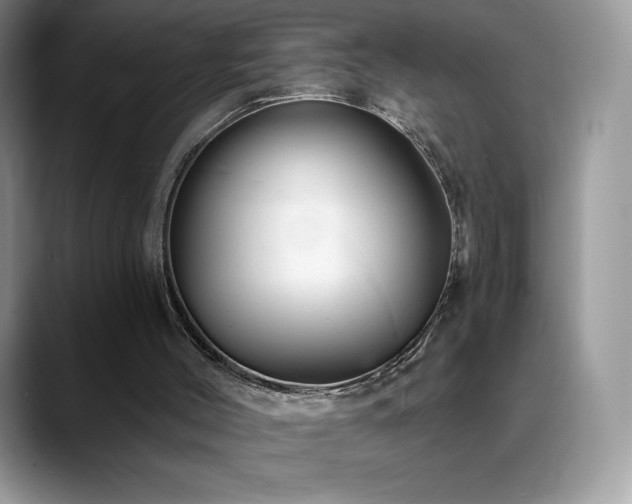 X0000088920004200706081407