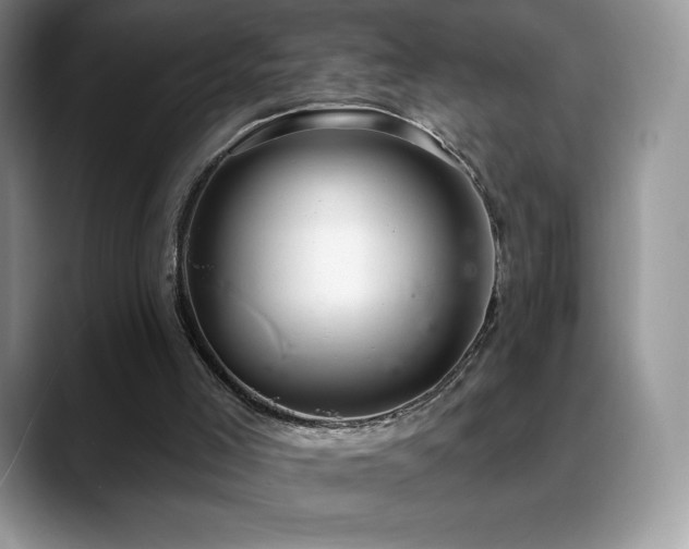 X0000088920005200706081407