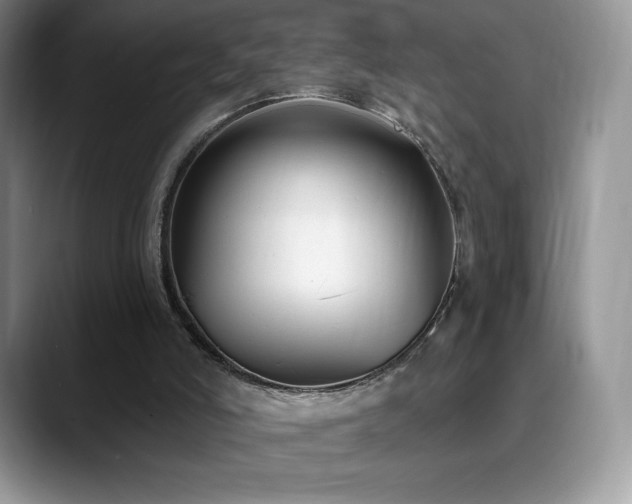 X0000088920006200706081407
