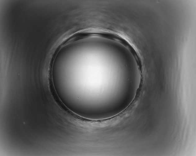 X0000088920007200706081407