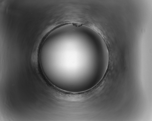 X0000088920008200706081407