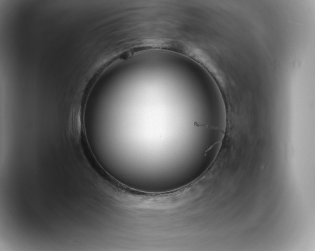 X0000088920011200706081407
