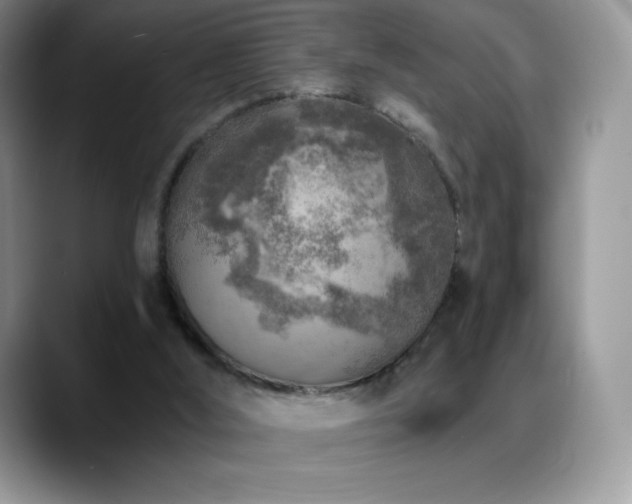 X0000088920012200706081407