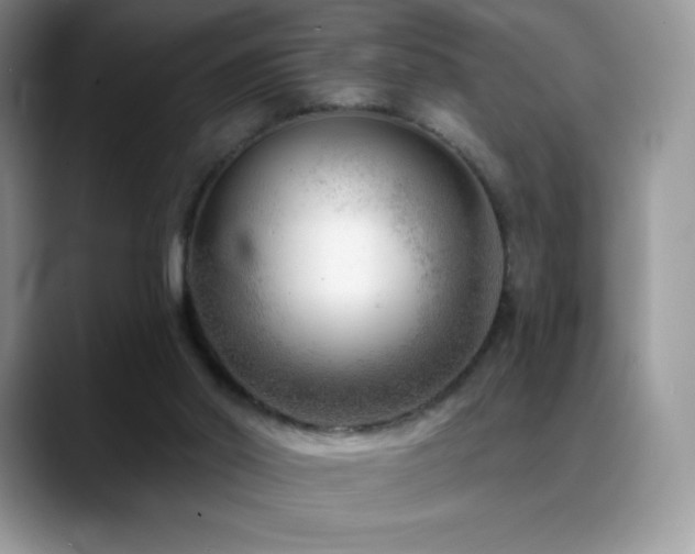 X0000088920014200706081407