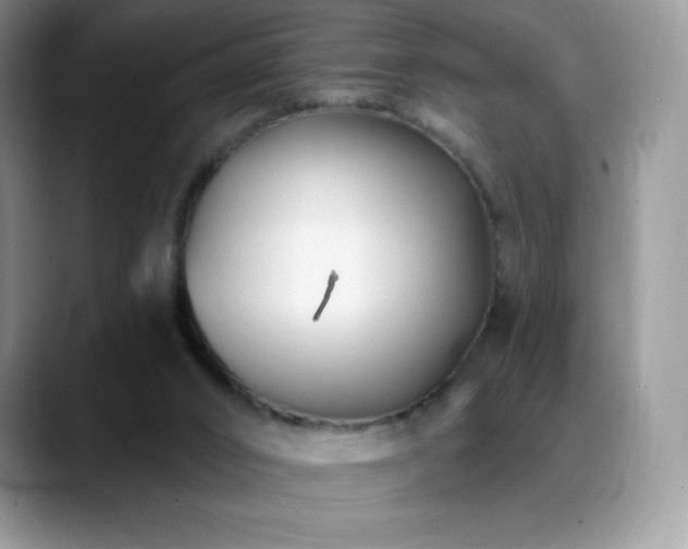 X0000088920016200706081407
