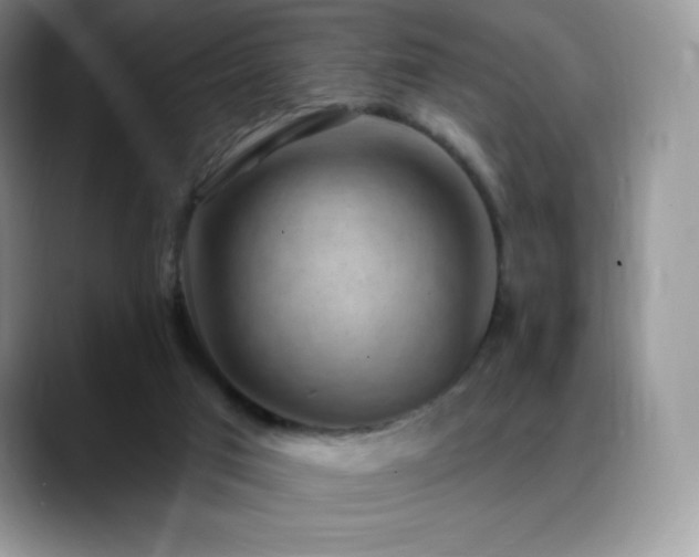 X0000088920017200706081407