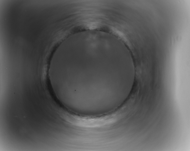 X0000088920018200706081407