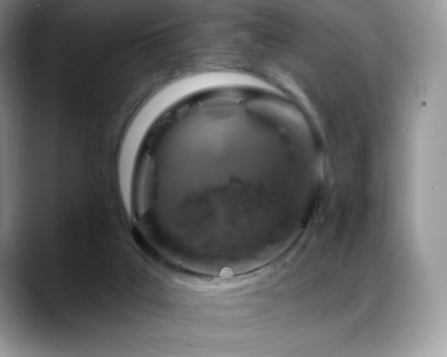 X0000088920019200706081407