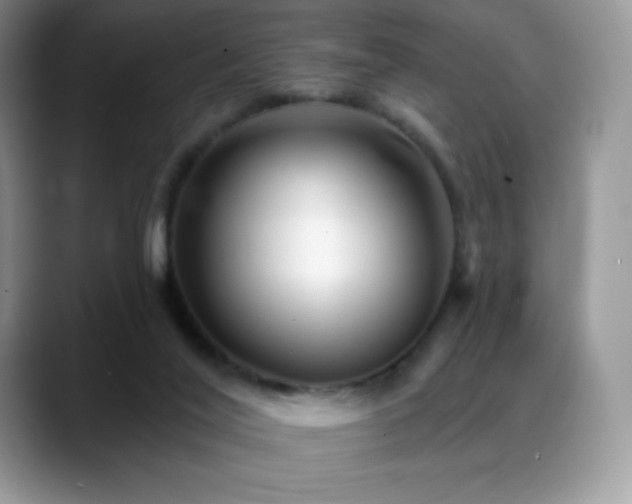 X0000088920020200706081407