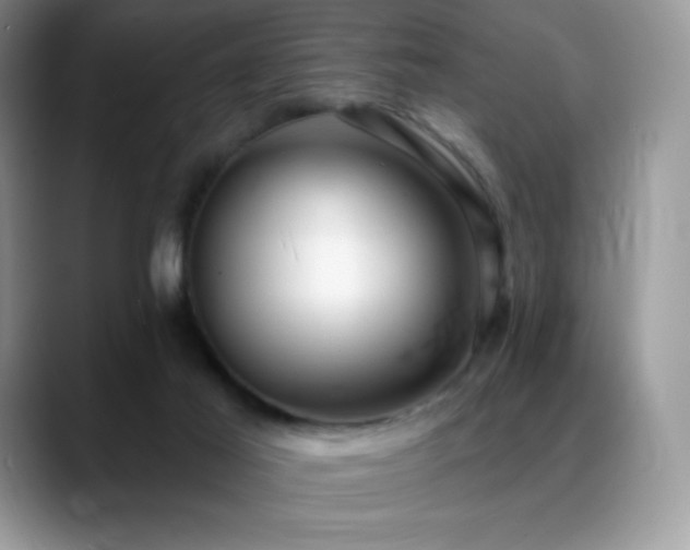 X0000088920021200706081407