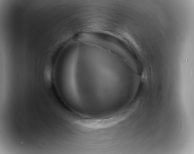 X0000088920023200706081407