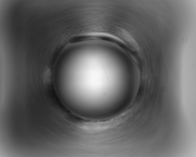 X0000088920025200706081407