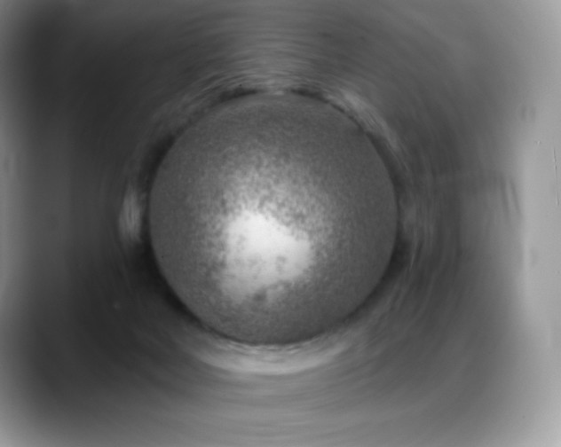 X0000088920026200706081407