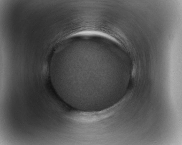 X0000088920029200706081407