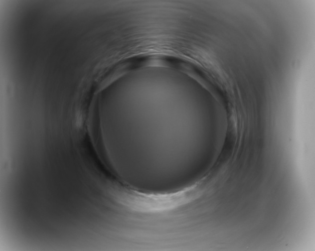 X0000088920031200706081407