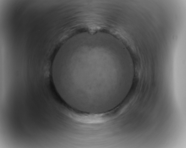 X0000088920032200706081407