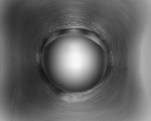 X0000088920033200706081407