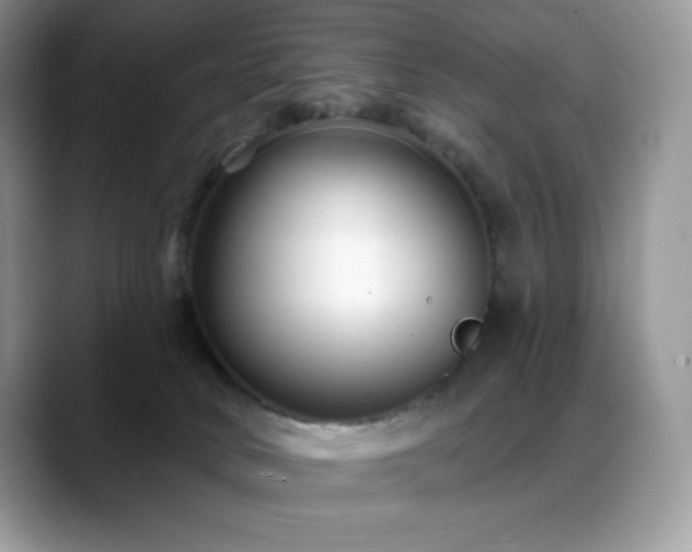 X0000088920034200706081407