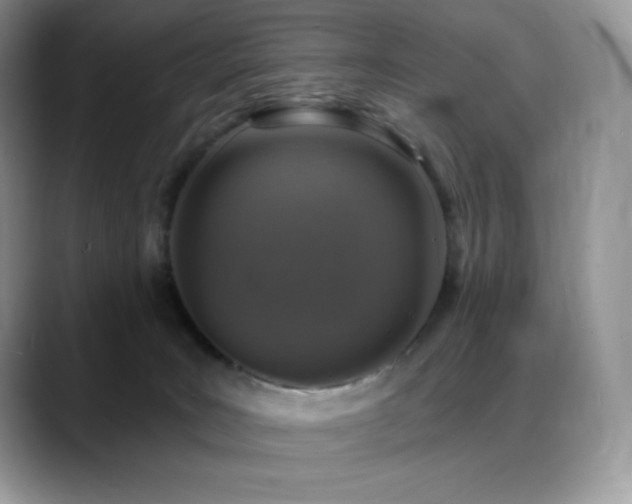 X0000088920035200706081407