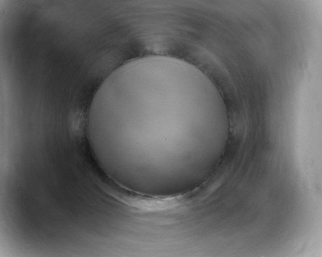 X0000088920036200706081407