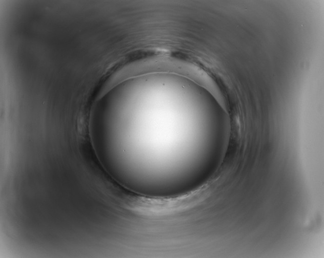 X0000088920037200706081407