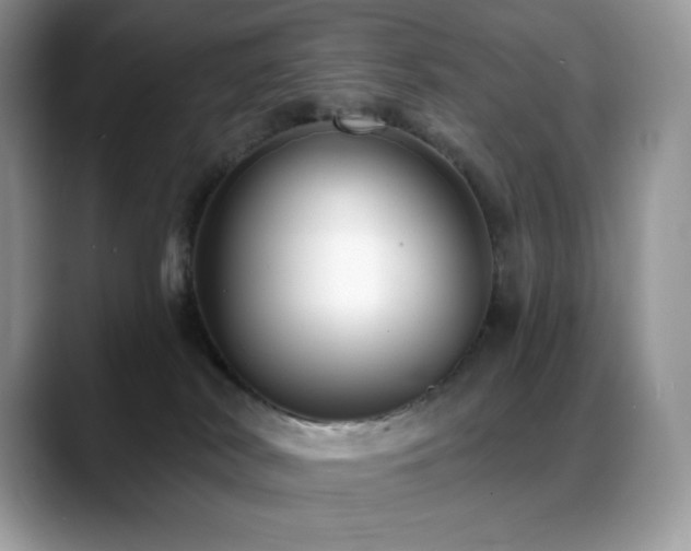 X0000088920038200706081407
