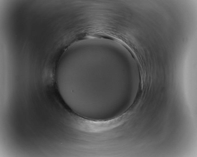 X0000088920039200706081407