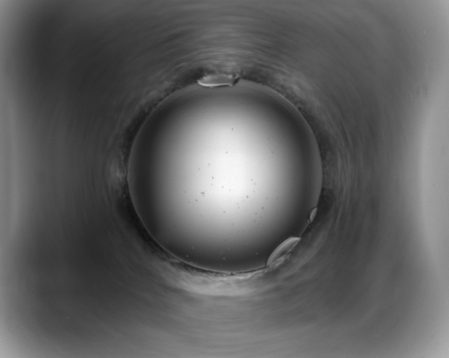 X0000088920040200706081407