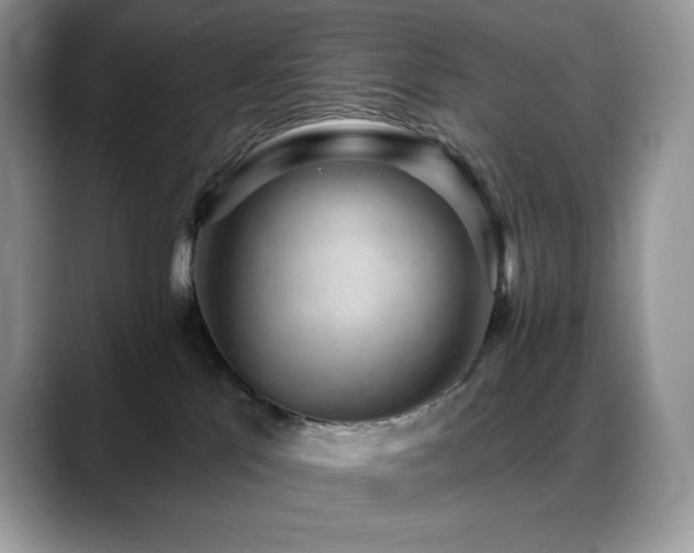 X0000088920041200706081407
