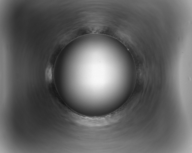 X0000088920042200706081407