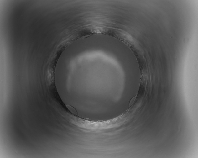 X0000088920043200706081407