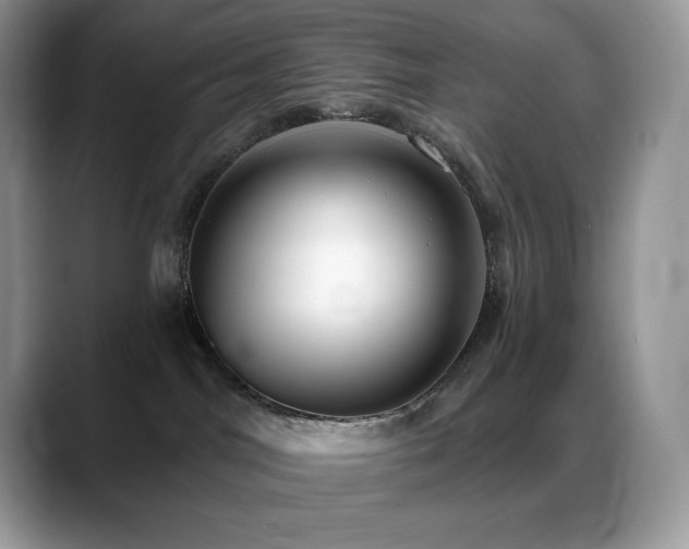 X0000088920044200706081407
