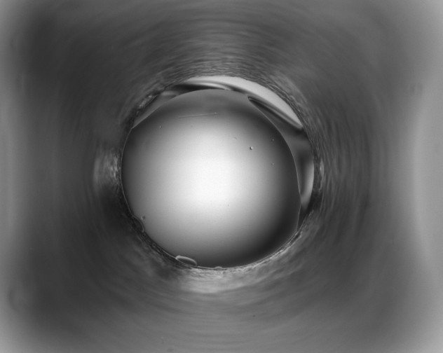 X0000088920045200706081407