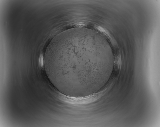 X0000088920046200706081407