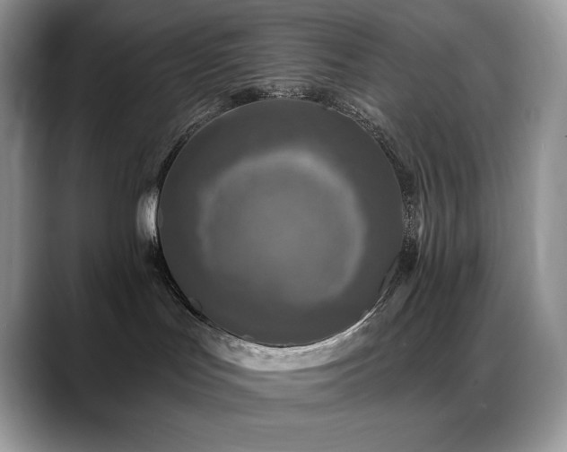X0000088920047200706081407