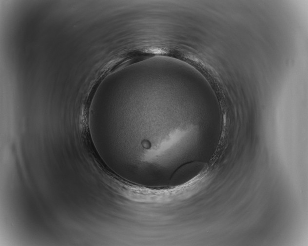 X0000088920048200706081407