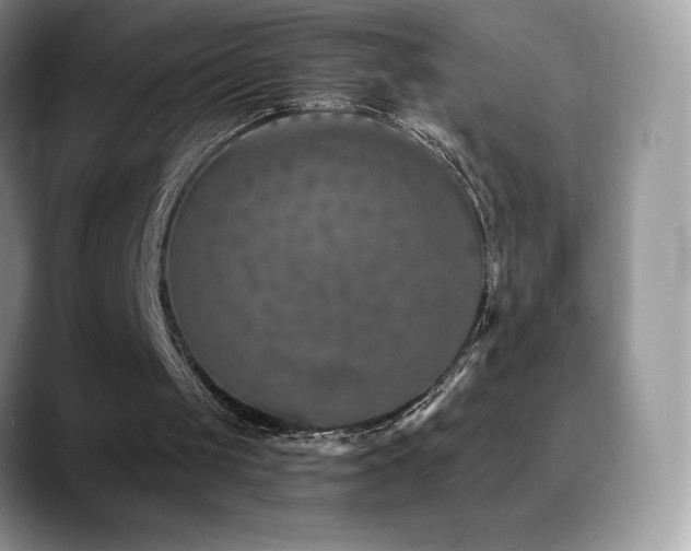 X0000088920049200706081406