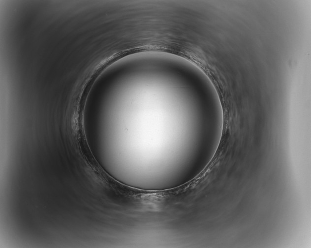 X0000088920050200706081406