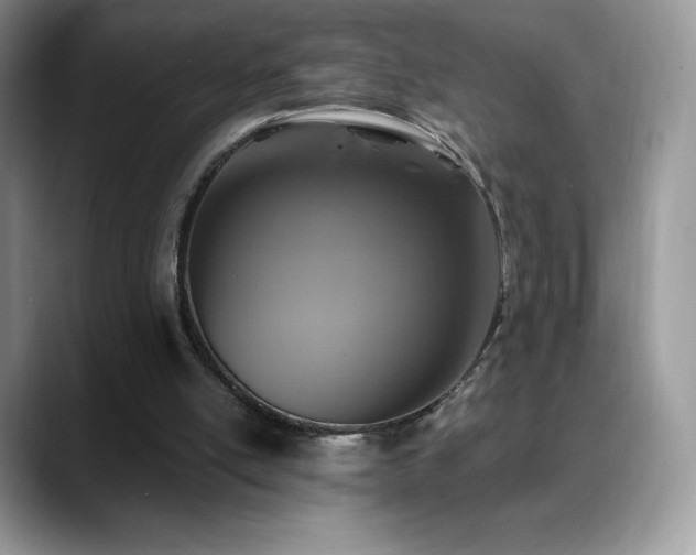 X0000088920054200706081406