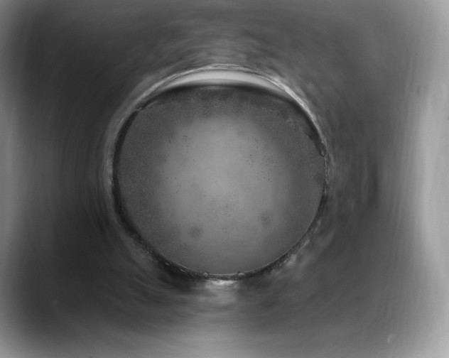 X0000088920055200706081406