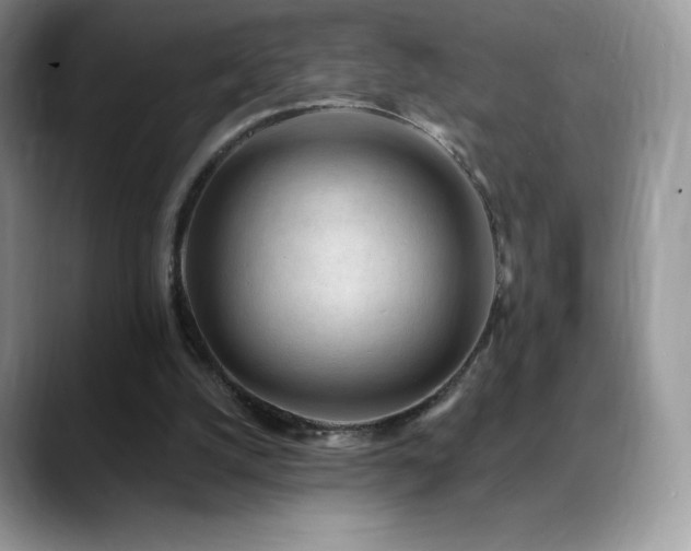 X0000088920056200706081406