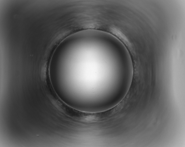 X0000088920058200706081406