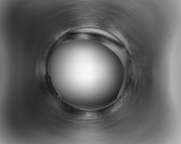 X0000088920060200706081406