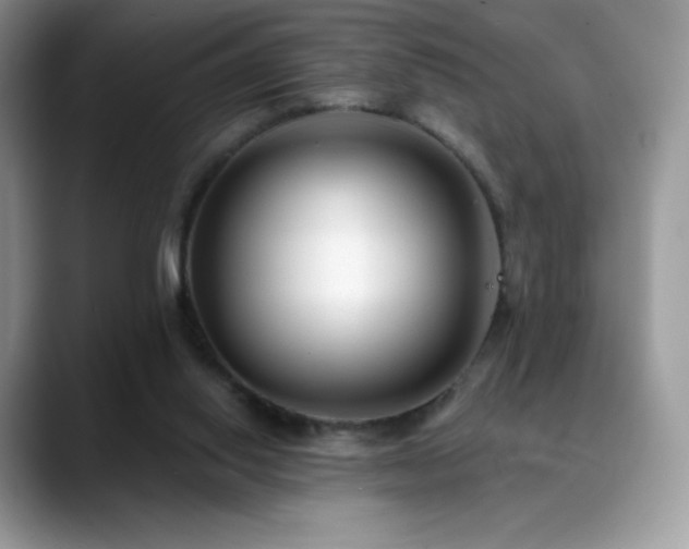 X0000088920062200706081407